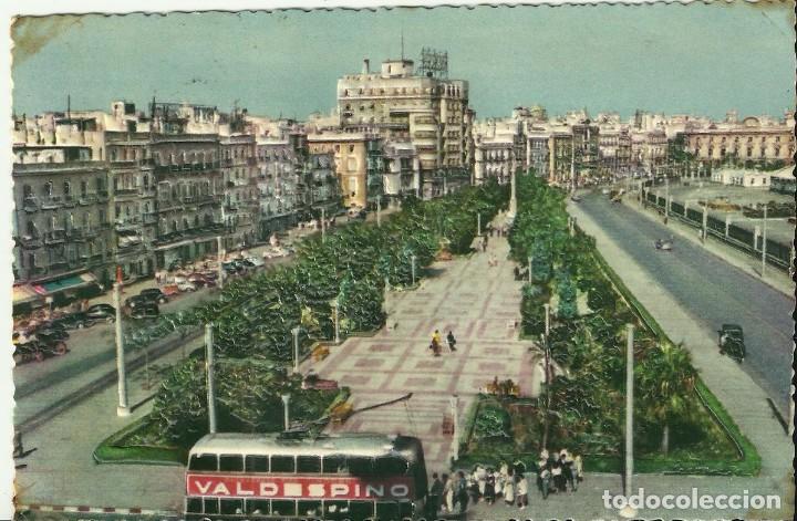Postales: Postal CadizN&ordm;101.Avenida de Ramon de Carranza.(Foto Relieve).