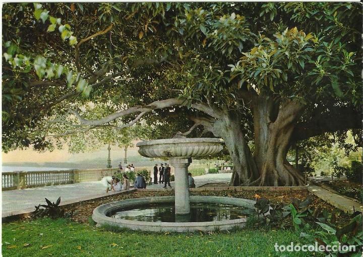 Postales: Postal Cadiz.Alameda de ApodacaN&ordm;52.Ediciones Sicilia.Circulada a&ntilde;os 60.