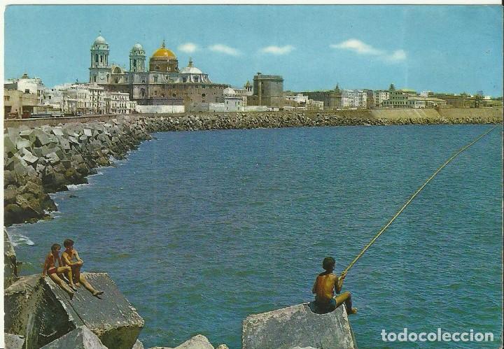 Postales: Postal Cadiz.Campo del Sur.N&ordm;9549.Beascoa.Alfa.