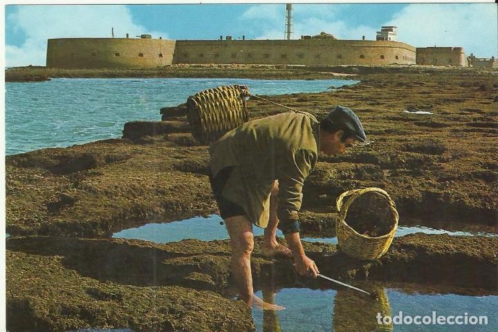 Postales: Postal Cadiz.N&ordm; 142.La Caleta.Alfa.