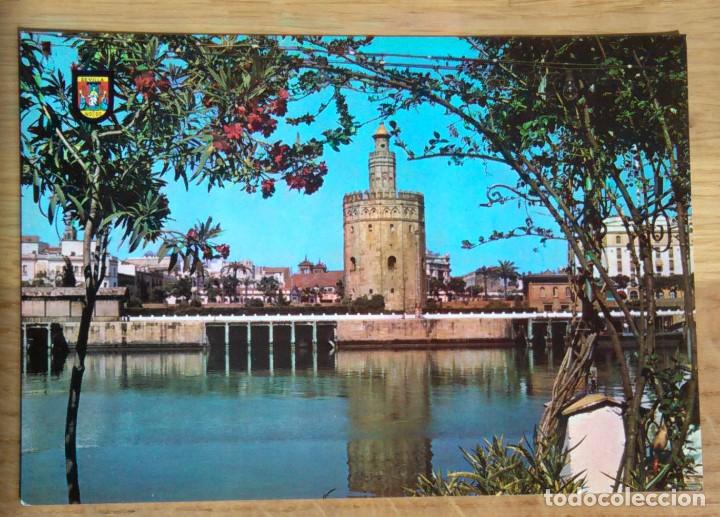 Postales: SEVILLA - TORRE DEL ORO - Foto 1