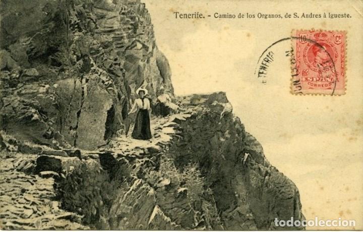 Postkarten: TENERIFE.- CAMINO DE LOS ORGANOS, DE S. ANDR&Eacute;S &Aacute; IGUESTE. ESCRITA Y FRANQUEADA, JUNIO DE 1913.