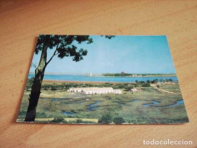 Postales: HUELVA  -- PUNTA DEL SEBO - Foto 1