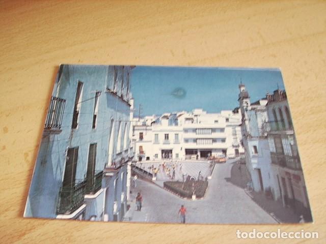 Postales: ALCALA DE LOS GAZULES ( CADIZ ) ALAMEDA