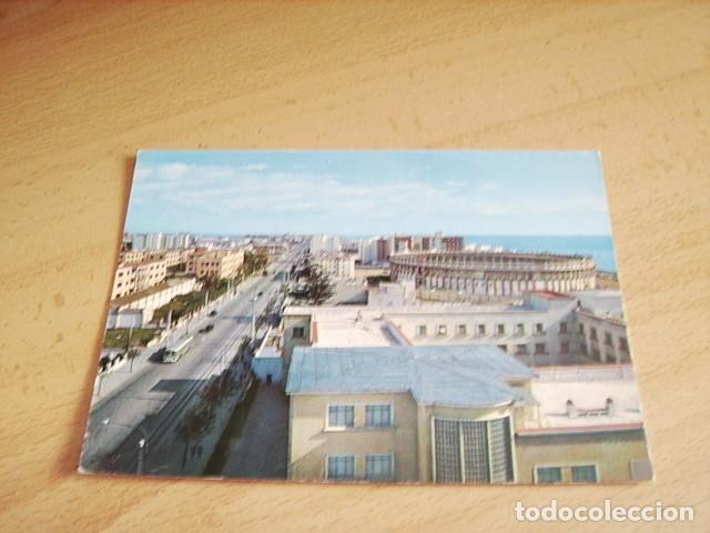 Postales: CADIZ -- AVENIDA DE LOPEZ PINTO