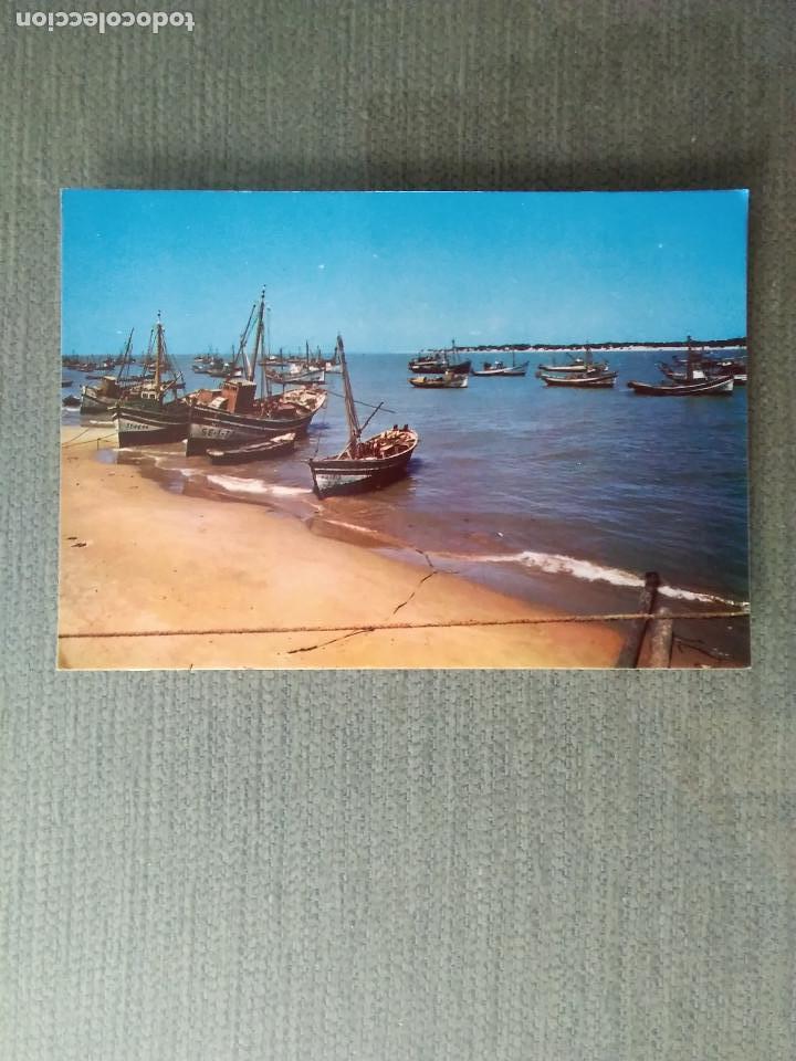 Postales: POSTAL SANLUCAR DE BARRAMEDA VISTA PARCIAL DE BAJO DE GUIA