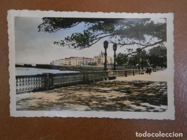 Postales: Postal Cadiz, alameda del marques de comillas