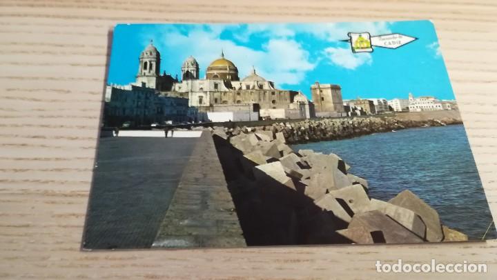 Postales: Postal de Cadiz. Avenida Primo de Rivera y Catedral. 5199. CIRCULADA