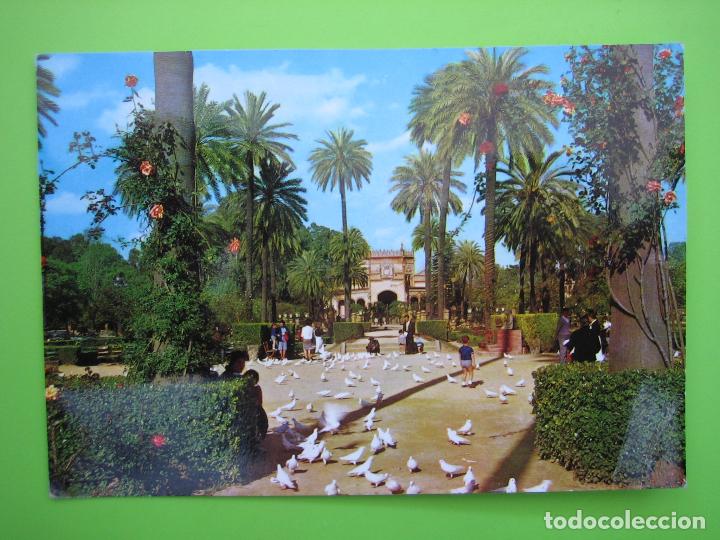 Postales: Postal de Sevilla - Foto 1