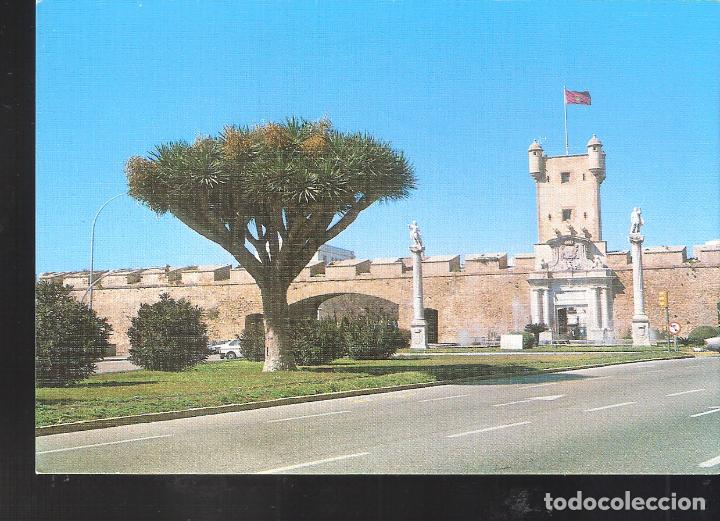 Postales: Puertas de Tierra. El Drago. Cadiz.