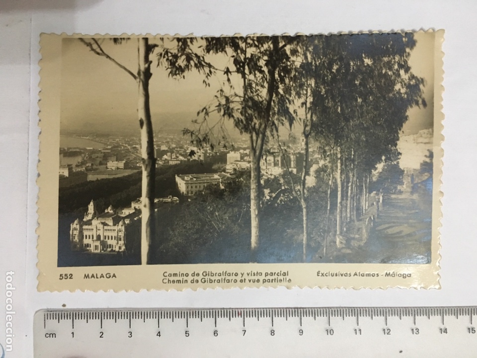 Postales: POSTAL. MALAGA. Camino de Gibralfaro ... Excl. &Aacute;LAMOS. H. 1950?