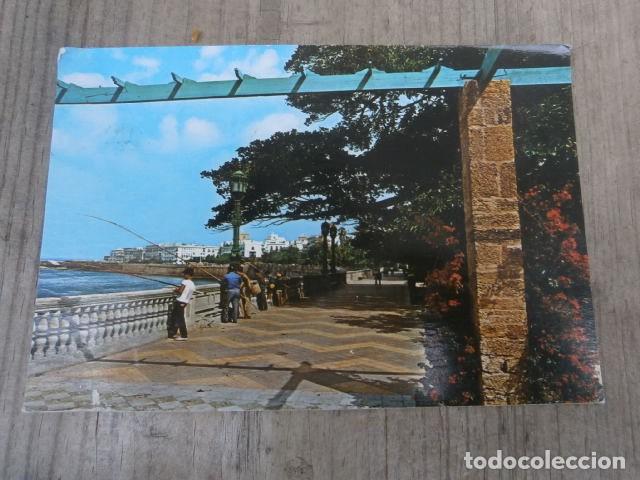 Postales: Postal Cadiz, alameda del marques de comillas