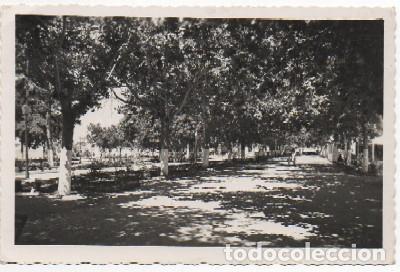 Postales: POSTAL DEL PUERTO SANTA MARIA. PARQUE DEL GENERALISIMO   P-ANPS-125