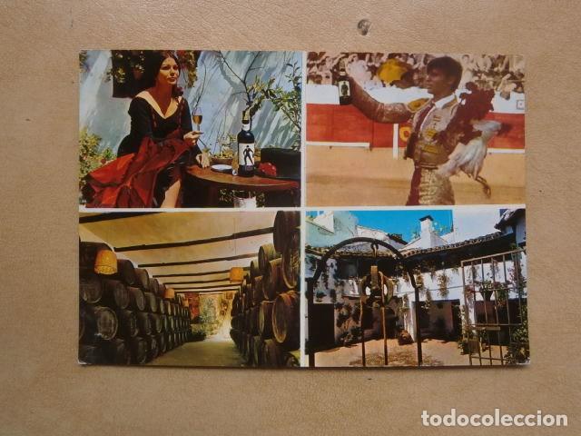 Postales: Postal bodegas campos de cordoba