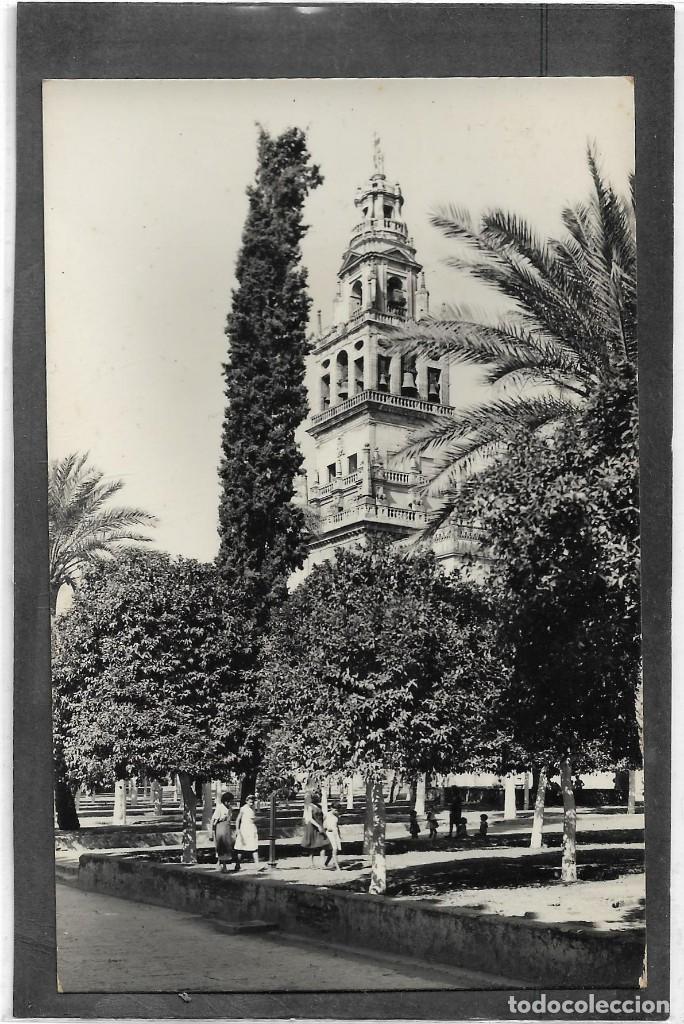 Postales: CORDOBA N&ordm; 8 PATIO NARANJOS Y CAMPANARIO .- EDICIONES DELFLOR