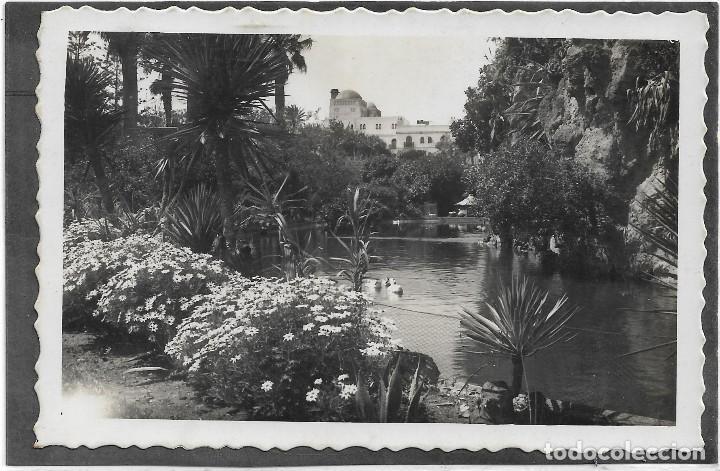 Postales: CADIZ N&ordm; 128 PARQUE CASCADA .- EDICIONES ARRIBAS