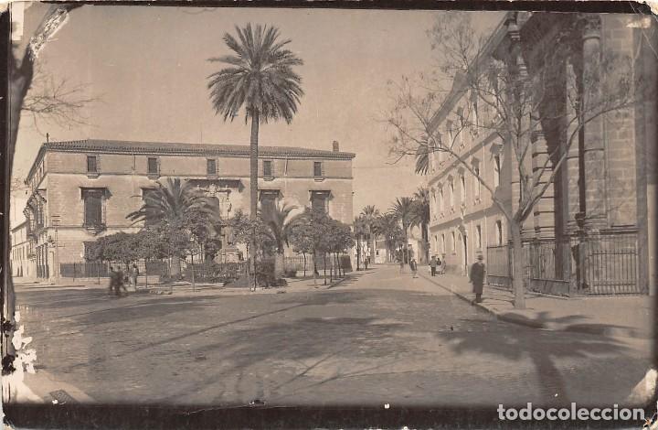 Postales: J&Eacute;REZ DE LA FRONTERA.- ALAMEDA MARQU&Eacute;S DE CASA DOMECQ