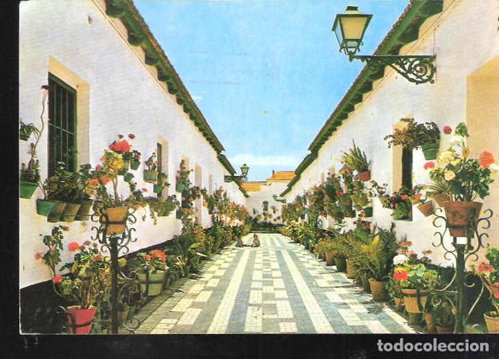 Postales: Calle t&iacute;pica. M&aacute;laga. - Foto 1