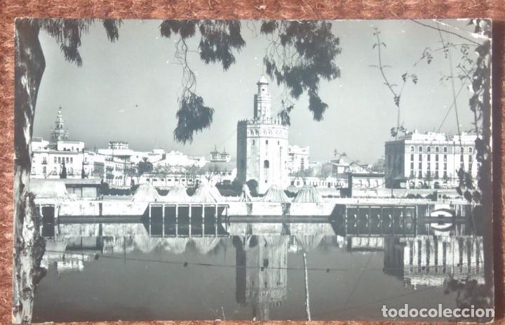 Postales: SEVILLA - TORRE DEL ORO - Foto 1