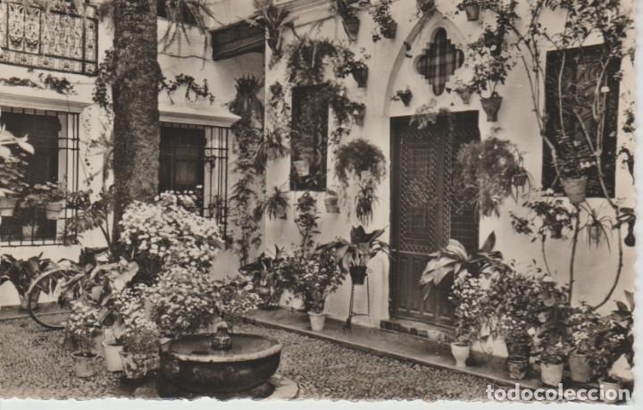 Postales: (25) CORDOBA. PATIO ANDALUZ
