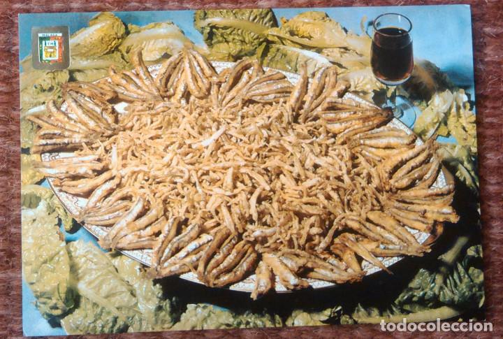 Postales: MALAGA - PLATO TIPICO - CHANQUETES Y BOQUERONES