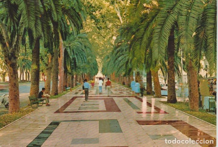Postales: (1364) MALAGA. PASEO DEL PARQUE