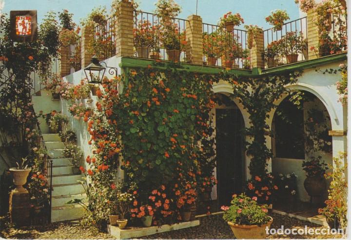 Postales: (963) CORDOBA. PATIO. CALLE MONTERO 12