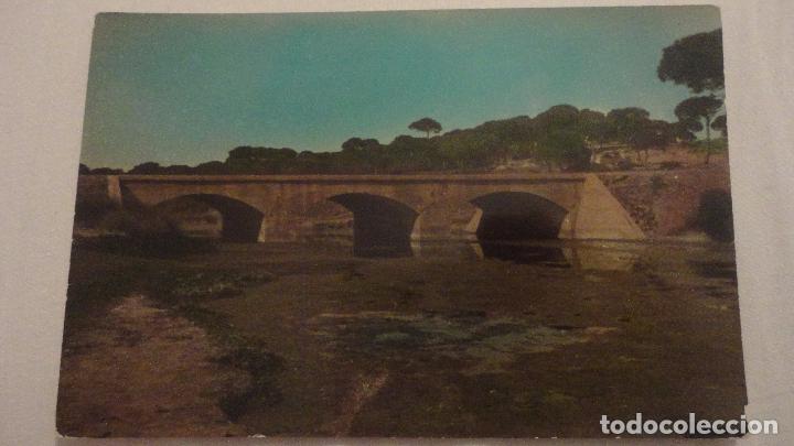 Postales: ANTIGUA POSTAL.COSTA DE LA LUZ.CA&Ntilde;O DE LA CULATA.CARTAYA.HUELVA.FOTO FLORES.1965