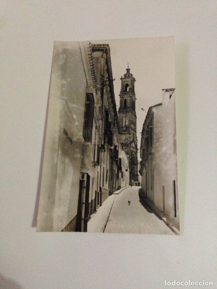 Postales: Postal antigua,30.-utrera,calle de rodrigo caro.
