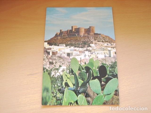 Postales: ALMERIA -- LA ALCAZABA Y LA  CHANCA