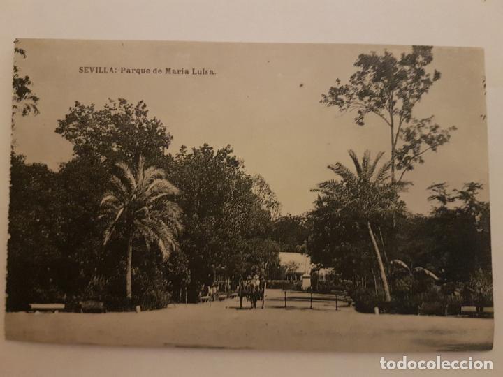 Postales: SEVILLA PARQUE DE MARIA LUISA - Foto 1
