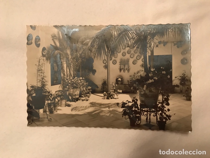 Postales: CORDOBA. Postal No.36 Patio Tipico. Edita:Garcia Garrabella (a.1961)