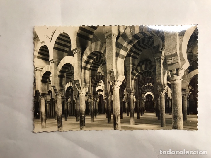 Postales: CORDOBA Postal No.251, Laberinto de columnas en la Mezquita. Edita: ediciones Arribas (h.1950?)