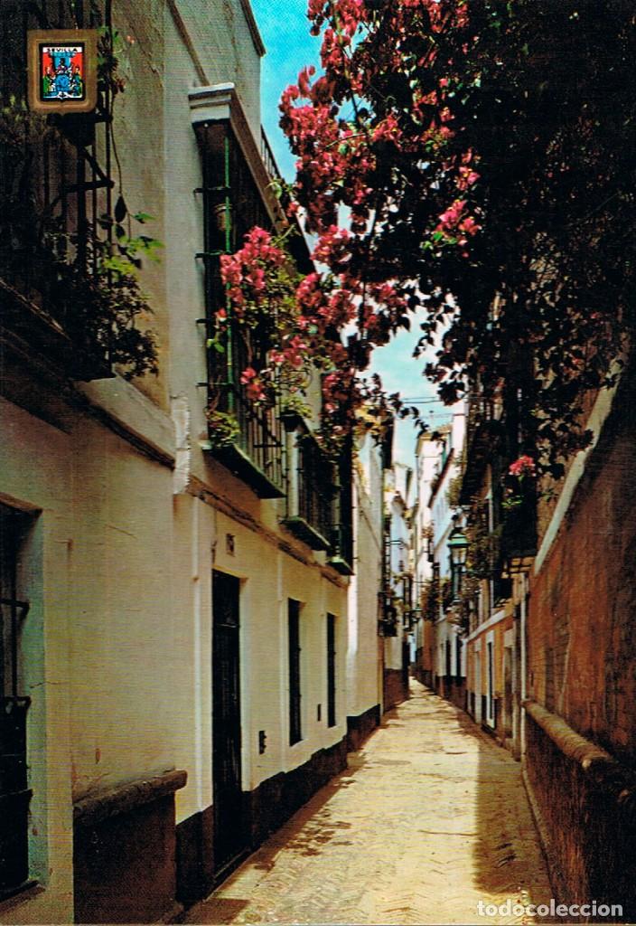 Postales: Sevilla, calle de la Pimienta - Foto 1