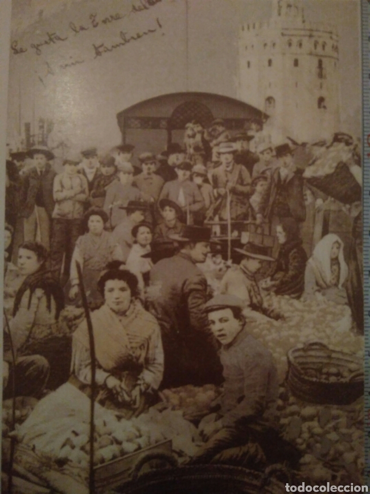 Postales: POSTAL MERCADO TORRRE DEL ORO.SEVILLA Q SE FUE N 73(REPRODUCION DIARIO 16.FORTUNA).AV3