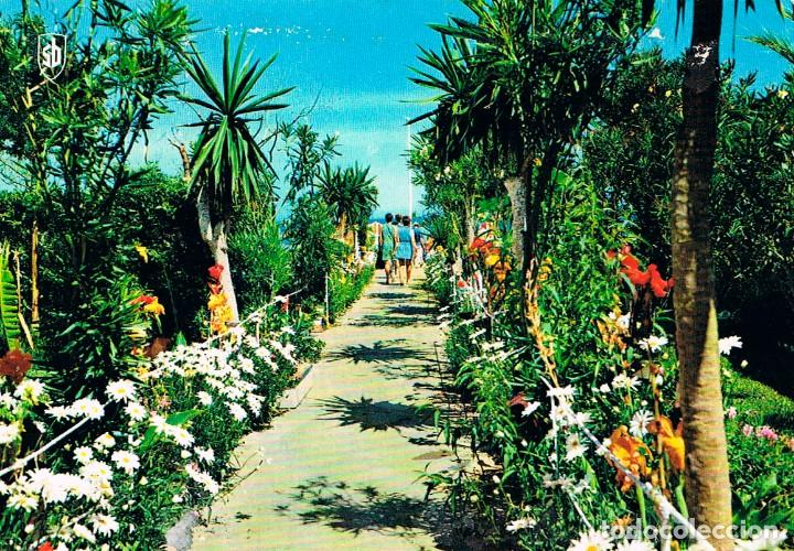 Postales: Fuengirola, jardines - Foto 1