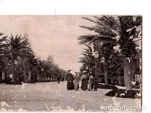 Postcards: TARJETA POSTAL DE CADIZ. PARQUE GENOVES. PASEO DE PALMERAS.