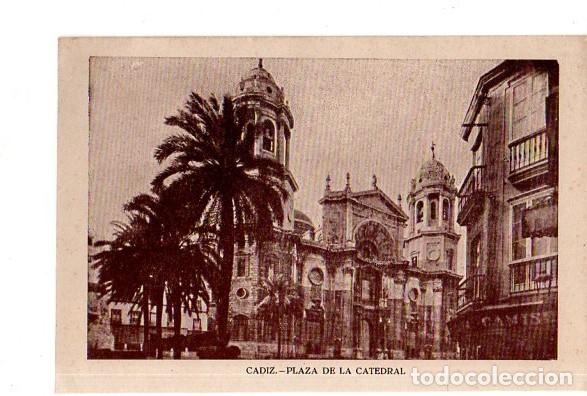 Cartoline: TARJETA POSTAL DE CADIZ. PLAZA DE LA CATEDRAL.