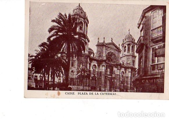Cartoline: TARJETA POSTAL DE CADIZ. PLAZA DE LA CATEDRAL.