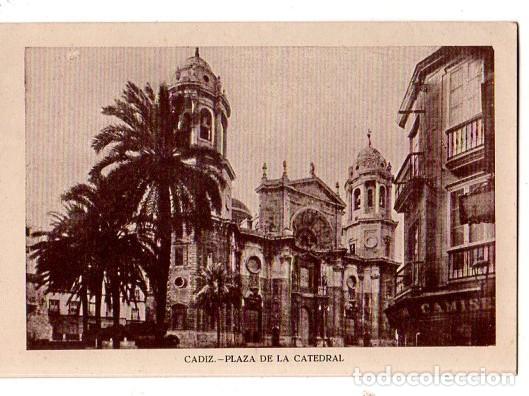 Cartoline: TARJETA POSTAL DE CADIZ. PLAZA DE LA CATEDRAL.
