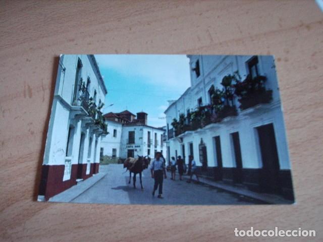 Postales: LAJUAR DE ANDARAX  ( ALMERIA ) CALLE CANALEJAS