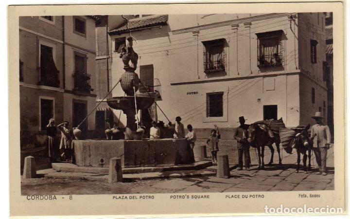 Postcards: PRECIOSA POSTAL - CORDOBA - PLAZA DEL POTRO - MUY AMBIENTADA