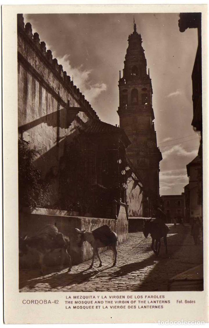 Postcards: PRECIOSA POSTAL - CORDOBA - LA MEZQUITA Y LA VIRGEN DE LOS FAROLES - BURROS