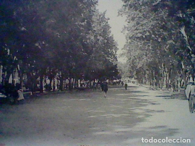 Postales: LA ALAMEDA MALAGA ED P.Z. 10592 S/C MBE