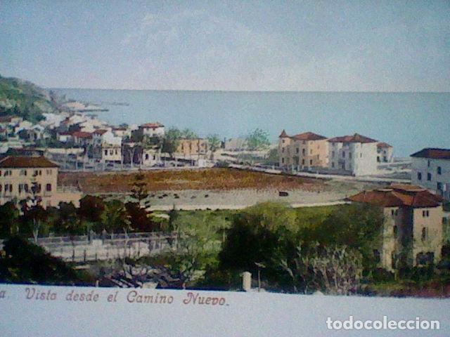 Postales: VISTA DESDE EL CAMINO NUEVO  MALAGA ED PURGER & CO NR 2385 S/C ca 1905