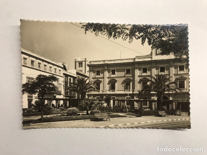 Postales: CADIZ. Postal No,54. Jardines del Gobierno Civil. Edita: Garcia Garrabella (h.1950?)