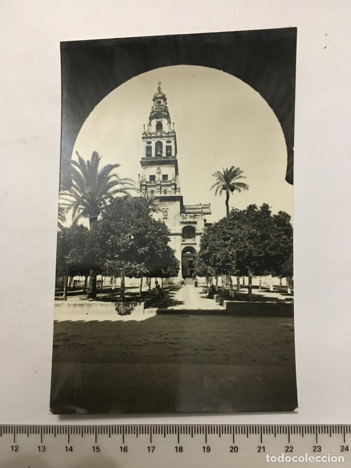 Postales: POSTAL. CORDOBA. CAMPANARIO Y PATIO NARANJOS. GUBI. H. 1960?