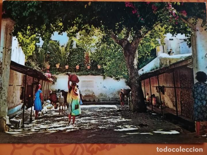 Postales: ALMERIA MOJACAR La Fuente, 1966