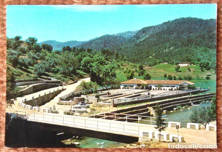Postales: SIERRA DE CAZORLA - JAEN - PISCIFACTORIA
