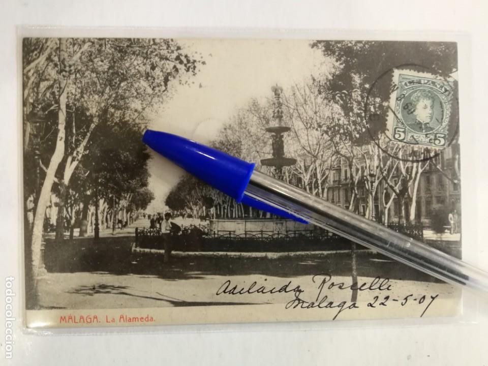 Postales: POSTAL MALAGA. LA ALAMEDA.